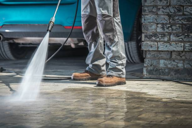 Animal Enclosure Cleaning in Kimberly, WI